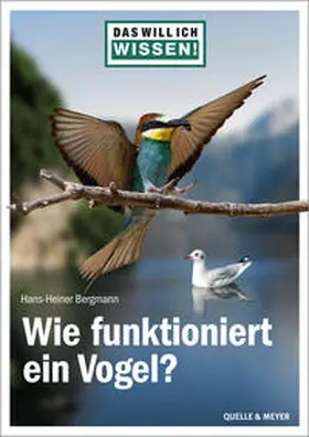 Bergmann |  Das will ich wissen! Wie funktioniert ein Vogel? | Buch |  Sack Fachmedien