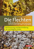 Wirth / Kirschbaum |  Die Flechten Mitteleuropas | Buch |  Sack Fachmedien
