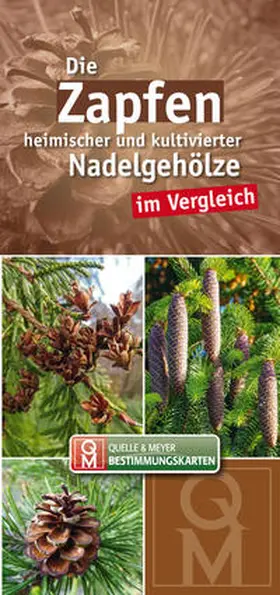  Die Zapfen heimischer und kultivierter Nadelgehölze im Vergleich | Buch |  Sack Fachmedien