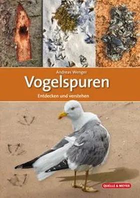 Wenger |  Vogelspuren | Buch |  Sack Fachmedien