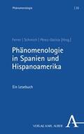Ferrer / Schmich / Gatica |  Phänomenologie in Spanien und Hispanoamerika | eBook | Sack Fachmedien