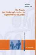 Münder / Mutke / Seidenstücker |  Die Praxis des Kindschaftsrechts in Jugendhilfe und Justiz | eBook | Sack Fachmedien