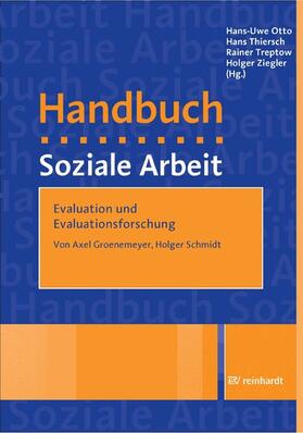 Groenemeyer / Schmidt | Evaluation und Evaluationsforschung | E-Book | sack.de