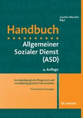 Schrapper |  Sozialpädagogische Diagnosen und sozialpädagogisches Fallverstehen | eBook | Sack Fachmedien