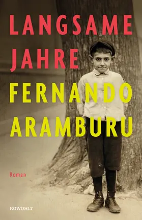 Aramburu |  Langsame Jahre | Buch |  Sack Fachmedien