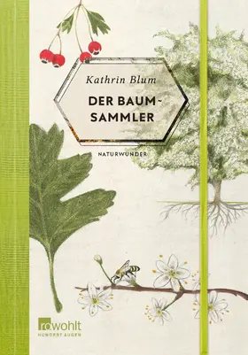 Blum |  Der Baumsammler | Buch |  Sack Fachmedien
