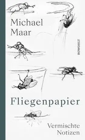 Maar |  Fliegenpapier | Buch |  Sack Fachmedien