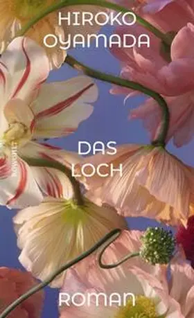Oyamada |  Das Loch | Buch |  Sack Fachmedien