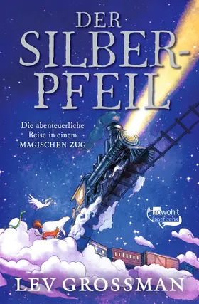 Grossman |  Der Silberpfeil | Buch |  Sack Fachmedien