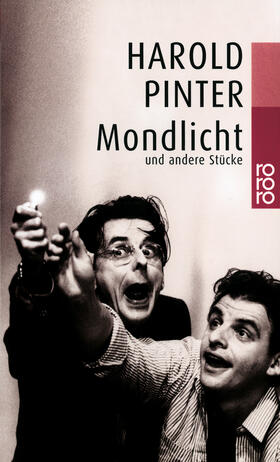 Pinter | Pinter, H: Mondlicht | Buch | 978-3-499-22795-0 | sack.de