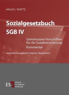 Borrmann / Fattler / Hochheim | Sozialgesetzbuch (SGB) IV: Gemeinsame Vorschriften für die Sozialversicherung - Abonnement | Loseblattwerk | sack.de