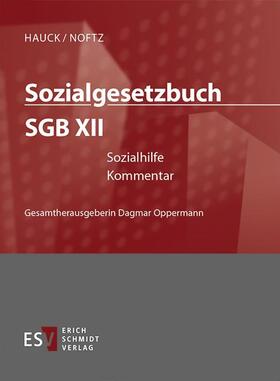 Hauck / Falterbaum / Noftz |  Sozialgesetzbuch (SGB) XII: Sozialhilfe - im Abonnementbezug | Loseblattwerk |  Sack Fachmedien