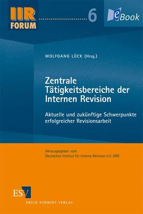 Lück |  Zentrale Tätigkeitsbereiche der Internen Revision | eBook | Sack Fachmedien