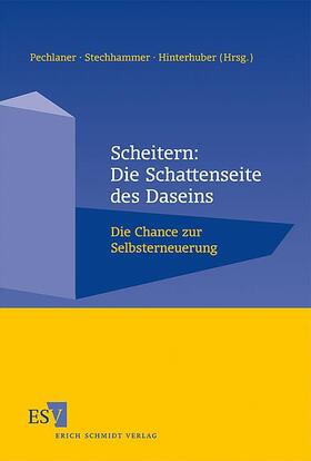 Pechlaner / Stechhammer / Hinterhuber | Scheitern: Die Schattenseite des Daseins | Buch | 978-3-503-11619-5 | sack.de