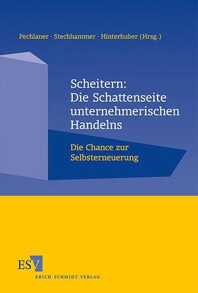 Pechlaner / Stechhammer / Hinterhuber | Scheitern: Die Schattenseite unternehmerischen Handelns | Buch | 978-3-503-11620-1 | sack.de