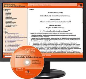 Bereiter-Hahn / Mehrtens | Gesetzliche Unfallversicherung - bei Doppelbezug Print und CD-ROM | Sonstiges | 978-3-503-11692-8 | sack.de