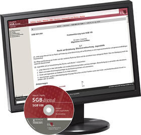 Hauck / Noftz |  Sozialgesetzbuch (SGB) VIII: Kinder- und Jugendhilfe - bei Doppelbezug Print und CD-ROM | Sonstiges |  Sack Fachmedien