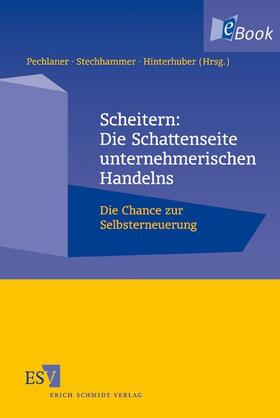 Pechlaner / Stechhammer / Hinterhuber | Scheitern: Die Schattenseite unternehmerischen Handelns | E-Book | sack.de