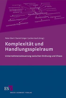 Eberl / Geiger / Koch | Komplexität und Handlungsspielraum | Buch | 978-3-503-13679-7 | sack.de