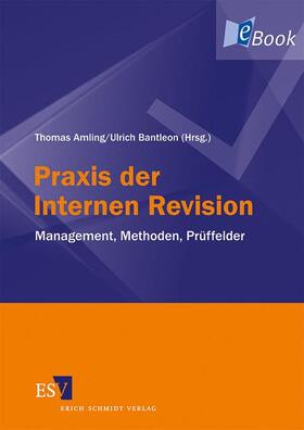 Amling / Bantleon |  Praxis der Internen Revision | eBook | Sack Fachmedien