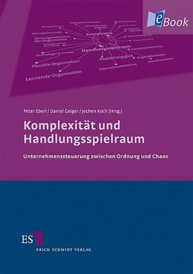 Eberl / Geiger / Koch | Komplexität und Handlungsspielraum | E-Book | sack.de