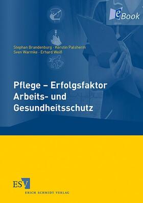 Brandenburg / Palsherm / Warmke | Pflege - Erfolgsfaktor Arbeits- und Gesundheitsschutz | E-Book | sack.de