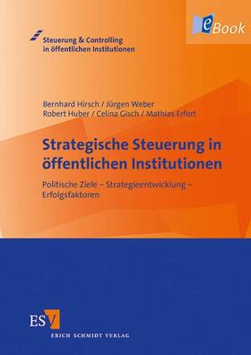 Hirsch / Weber / Huber |  Strategische Steuerung in öffentlichen Institutionen | eBook | Sack Fachmedien