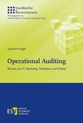 Kregel |  Operational Auditing | eBook | Sack Fachmedien