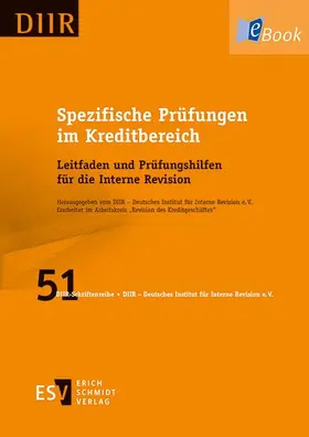 DIIR – Arbeitskreis " Revision des Kreditgeschäftes" | Spezifische Prüfungen im Kreditbereich | E-Book | www.sack.de