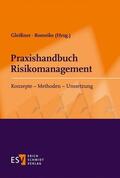 Gleißner / Romeike |  Praxishandbuch Risikomanagement | Buch |  Sack Fachmedien