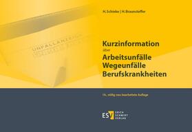 Braunsteffer / Schieke | Kurzinformation über Arbeitsunfälle Wegeunfälle Berufskrankheiten | Buch | 978-3-503-16642-8 | sack.de