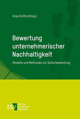 Grothe | Bewertung unternehmerischer Nachhaltigkeit | Buch | 978-3-503-16734-0 | sack.de