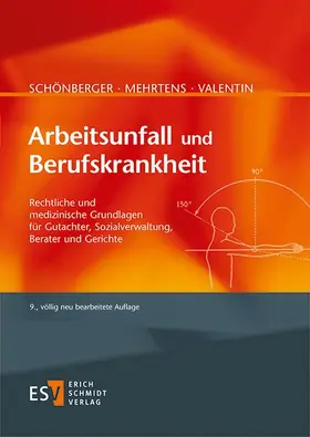 Mehrtens / Valentin / Schönberger | Arbeitsunfall und Berufskrankheit | Buch | 978-3-503-16795-1 | www.sack.de