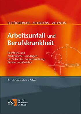 Mehrtens / Valentin / Schönberger | Mehrtens, G: Arbeitsunfall und Berufskrankheit | Buch | sack.de