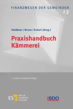Veldboer / Bruns / Eckert (Hrsg.) |  Praxishandbuch Kämmerei | Buch |  Sack Fachmedien