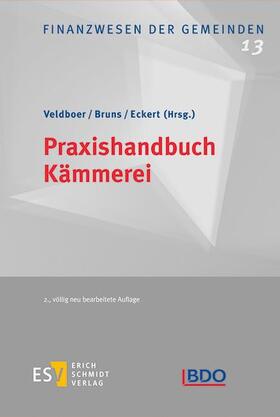 Behnke-Hahne / Black / Brüning | Praxishandbuch Kämmerei | E-Book | sack.de