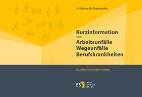 Braunsteffer / Schieke | Kurzinformation über Arbeitsunfälle Wegeunfälle Berufskrankheiten | Buch | 978-3-503-19109-3 | sack.de