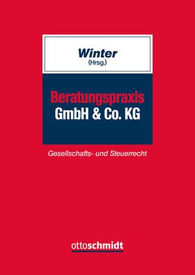 Winter |  Beratungspraxis GmbH & Co. KG | Buch |  Sack Fachmedien