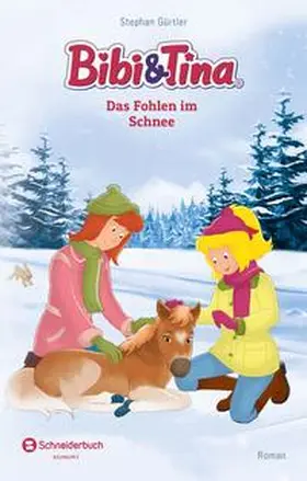 Gürtler |  Bibi & Tina - Das Fohlen im Schnee | Buch |  Sack Fachmedien