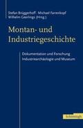 Brüggerhoff / Farrenkopf / Geerlings |  Montan- und Industriegeschichte | Buch |  Sack Fachmedien