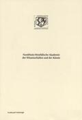Reichl |  Spielmannsidiom, Dialektmischung und Kunstsprache in der mittelenglischen volkstümlichen Epik | Buch |  Sack Fachmedien