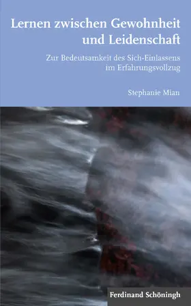 Mian |  Lernen zwischen Gewohnheit und Leidenschaft | Buch |  Sack Fachmedien