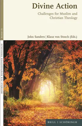 Sanders / Stosch |  Divine Action | Buch |  Sack Fachmedien