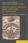 Goldberg / Pieper / Tietz |  Was ist und zu welchem Ende treibt man Hermeneutik? | Buch |  Sack Fachmedien