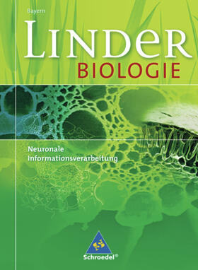 Bayrhuber / Kull | LINDER Biologie. Neuronale Informationsverarbeitung. Bayern | Buch | 978-3-507-10274-3 | sack.de