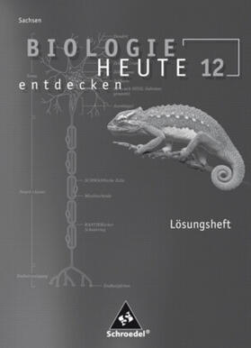 Starke / Wellinghorst |  Biologie heute entdecken SII - Ausgabe 2008 für Sachsen | Buch |  Sack Fachmedien