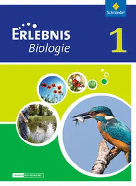 Dobers / Freundner-Huneke / Schulz |  Erlebnis Biologie 1. Schulbuch. Differenzierende Ausgabe. Niedersachsen | Buch |  Sack Fachmedien