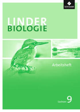 Erdmann / Jungbauer / Konopka |  LINDER Biologie 9. Arbeitsheft. Sachsen | Buch |  Sack Fachmedien