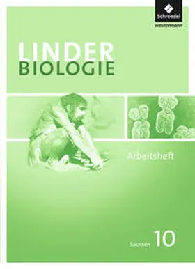 Erdmann / Jungbauer / Konopka |  LINDER Biologie 10. Arbeitsheft. Sekundarstufe 1. Sachsen | Buch |  Sack Fachmedien