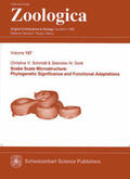Schmidt / Gorb |  Snake Scale Microstructure: | Buch |  Sack Fachmedien